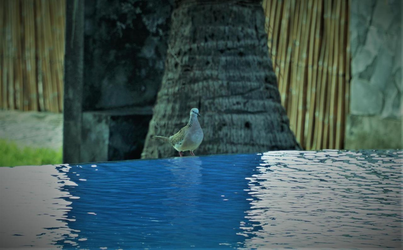 Bali Bhuana Holiday park 3*