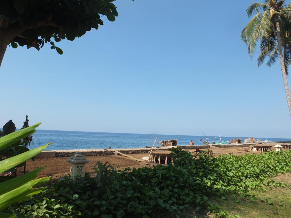 The Amrita - Salt Farm Tejakula