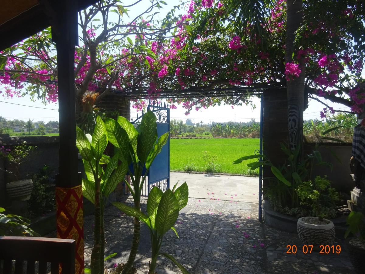 Murni Lovina (Bali)