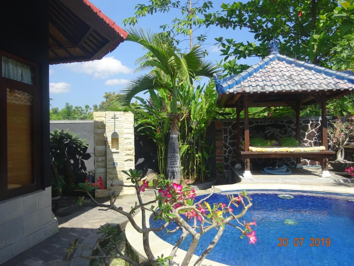 Murni Villa Lovina (Bali)