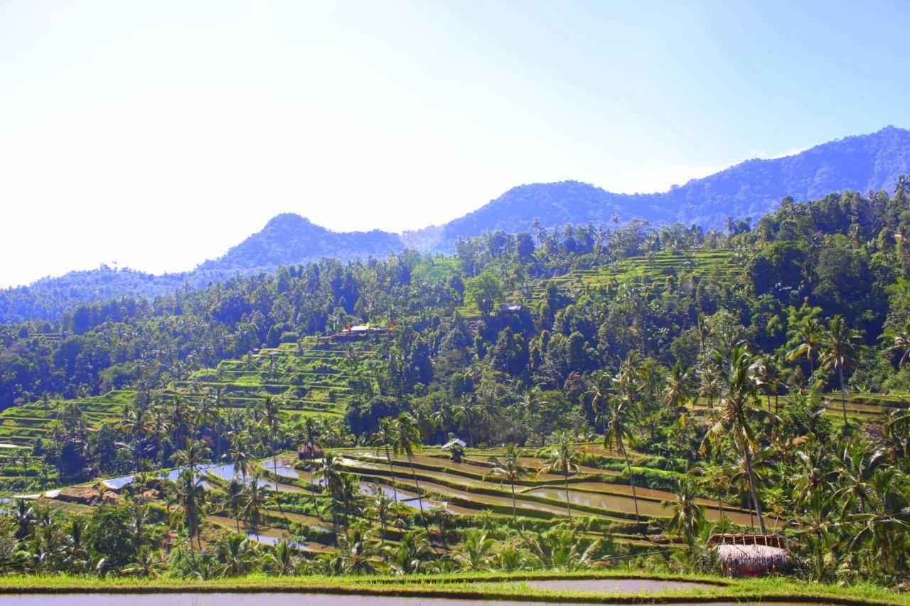 Homestay Ananda Lemukih *