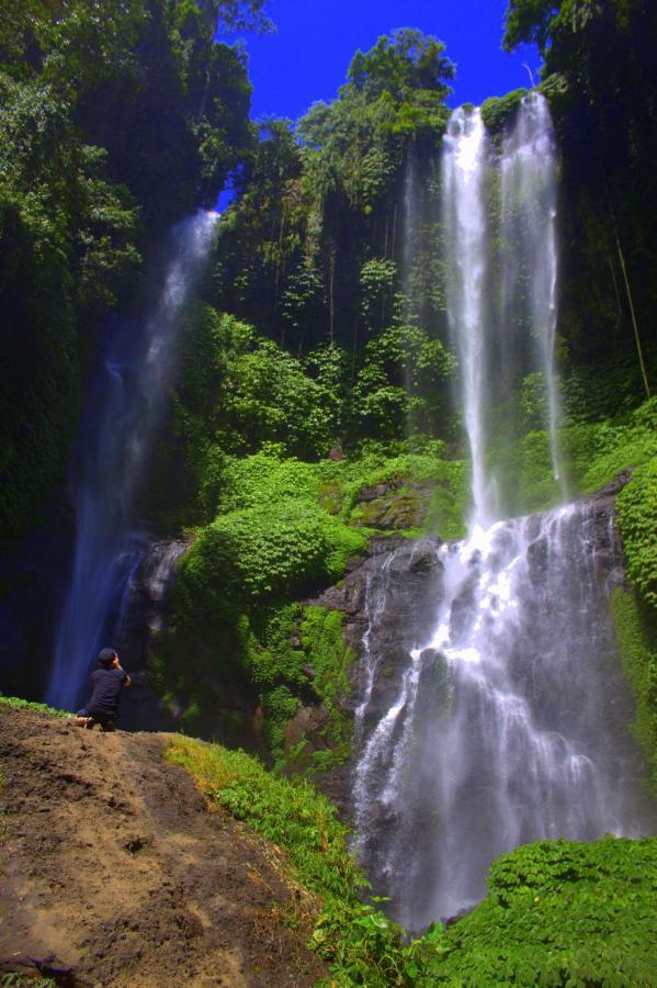 Ananda Lemukih * Singaraja (Bali)