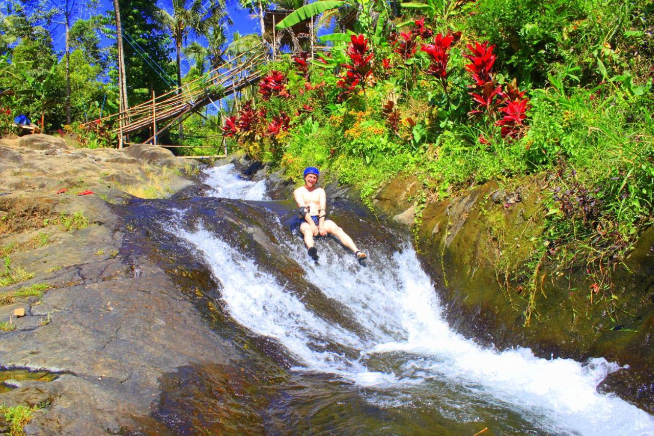 Ananda Lemukih Homestay Singaraja (Bali)
