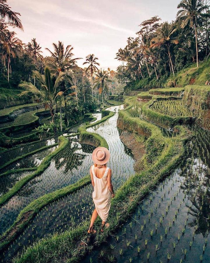 The Papas * Tegallalang (Bali)
