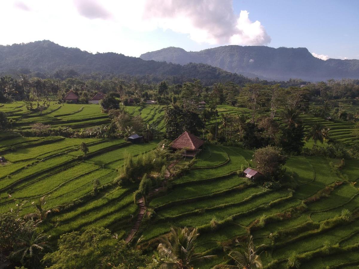 Sawah Indah Guest house 3*