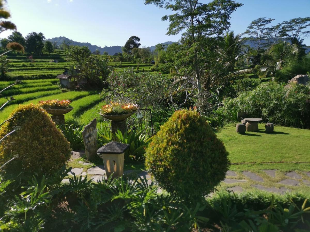 Sawah Indah 3*
