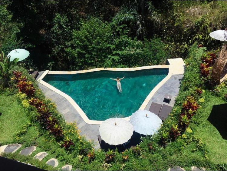 Villa The Jungle *