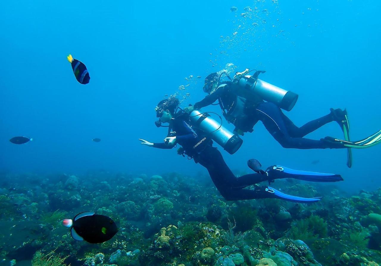 Hotel Bluehill Dive Tulamben (Bali)