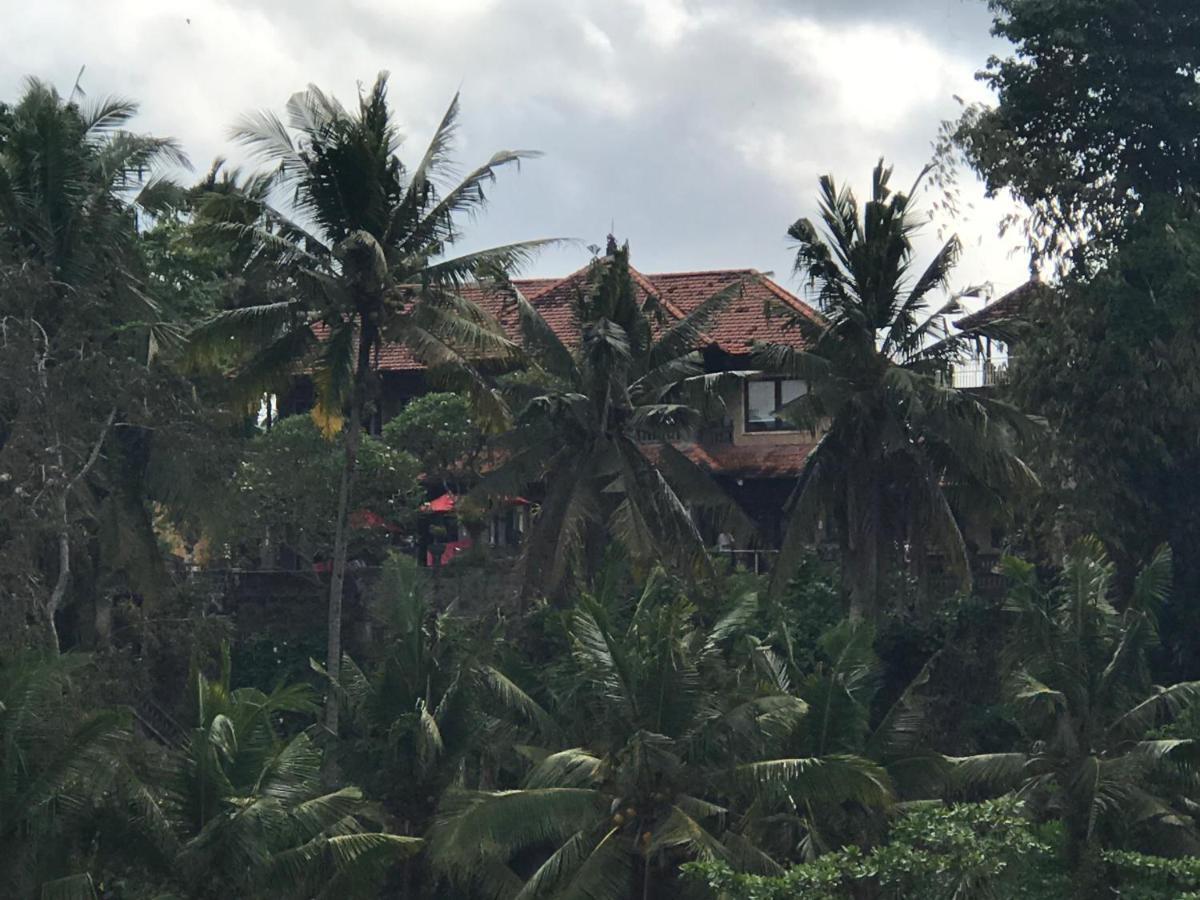 Bali Villa Djodji Villa *