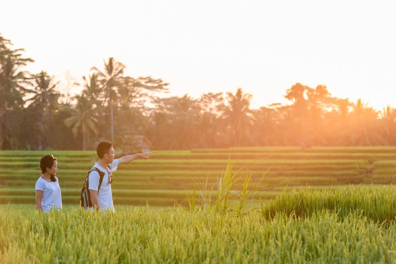 Cenik Ubud (Bali)
