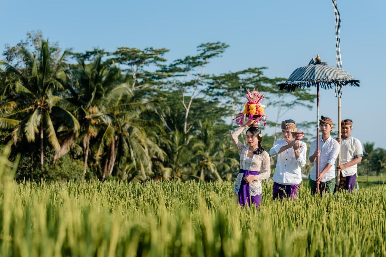 Cenik * Ubud (Bali)