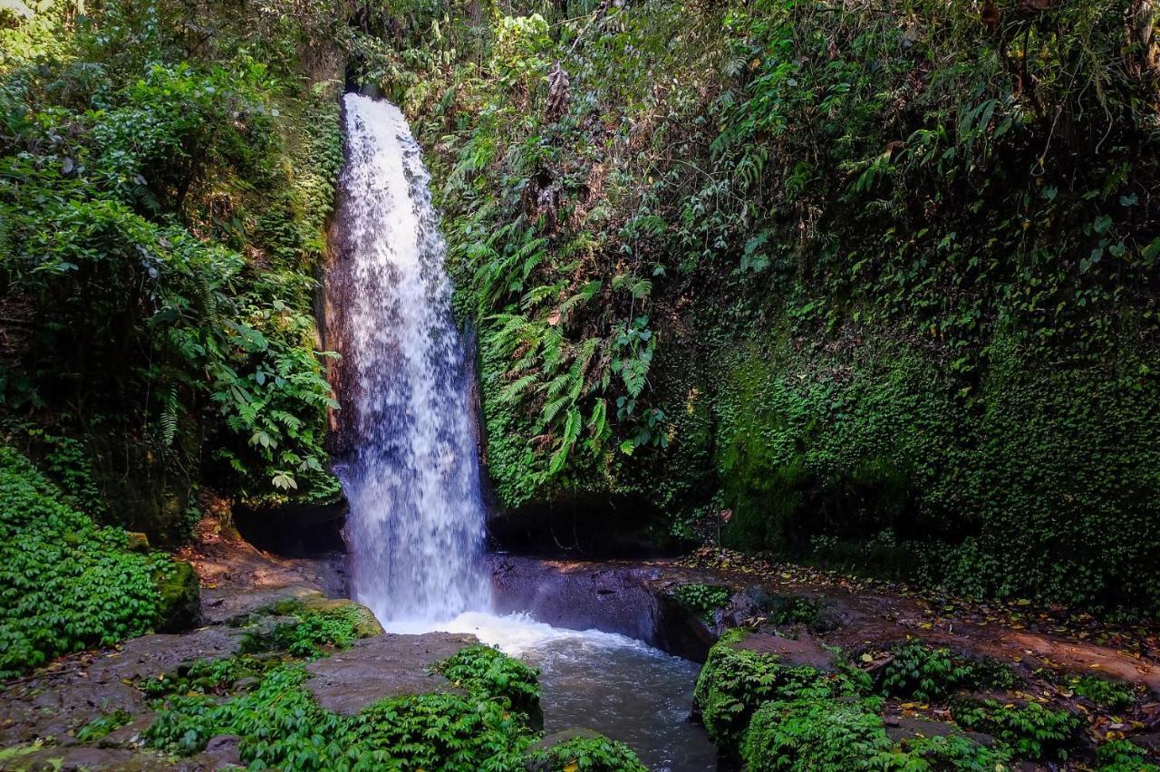 Ubud Hills & *