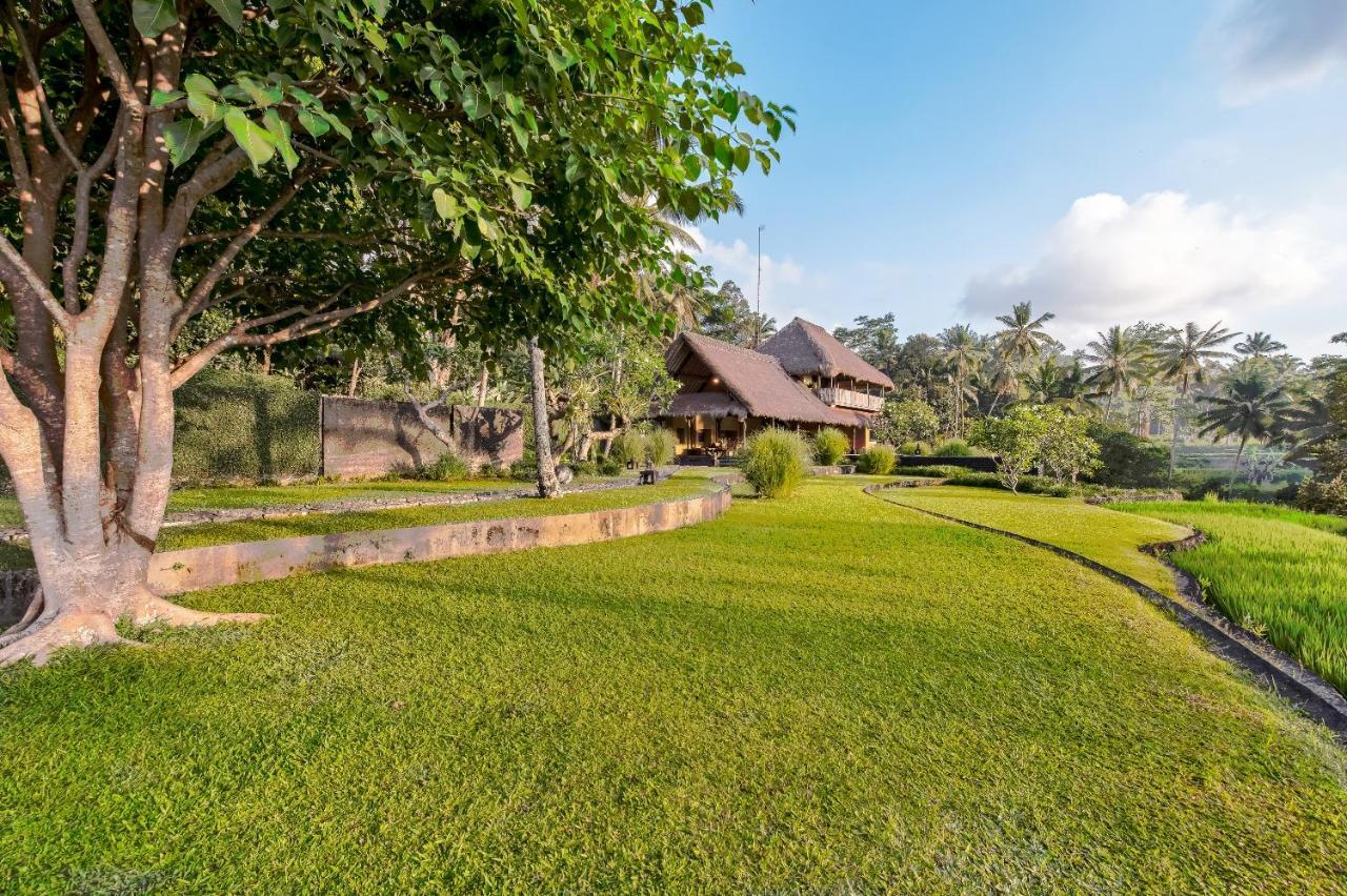 Kelusa Ubud (Bali)