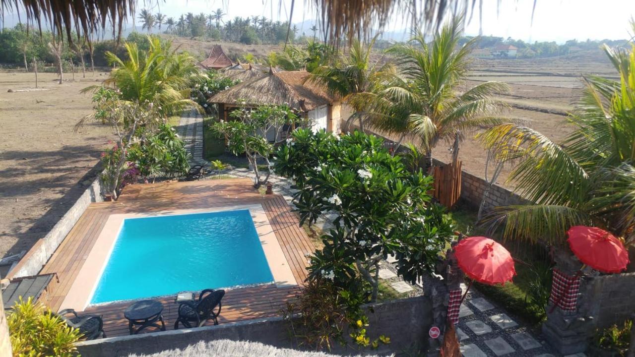 Bali Tiger Hideaway