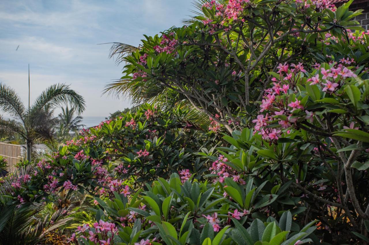 Balian Surf Villas Apartment