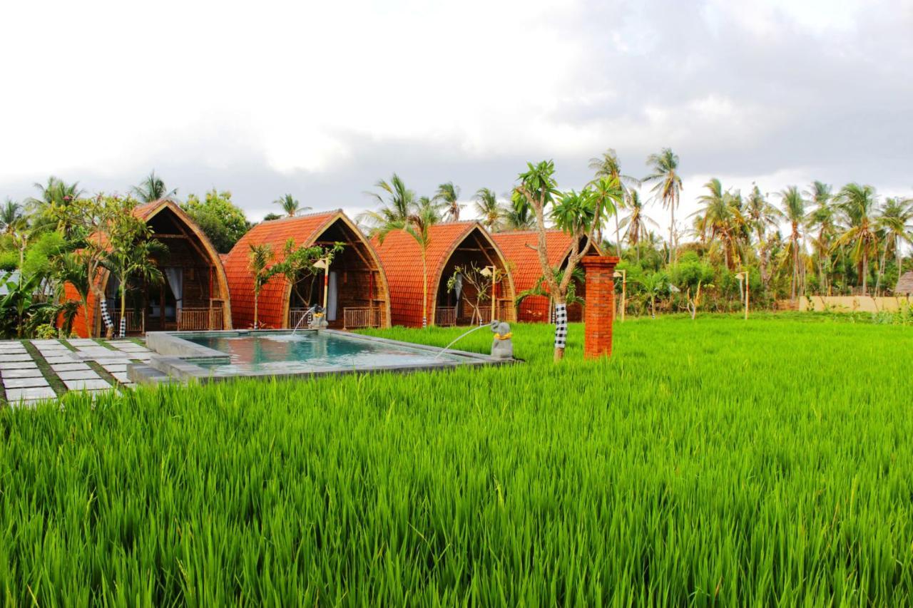 Umma Bali Menjangan Retreat Holiday park Banyuwedang