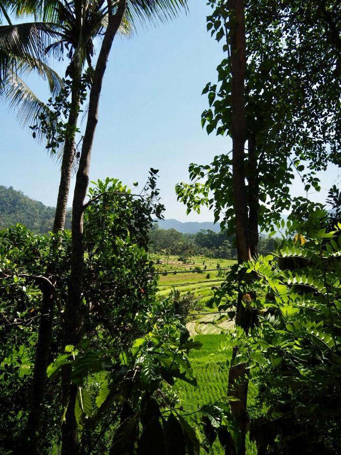 Tempat Tidur & Sarapan Vanilla Sidemen (Bali)