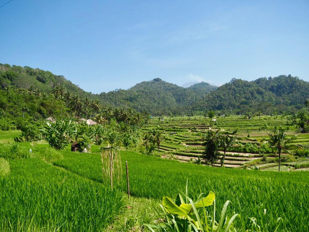 Tempat Tidur & Sarapan Vanilla Sidemen (Bali)