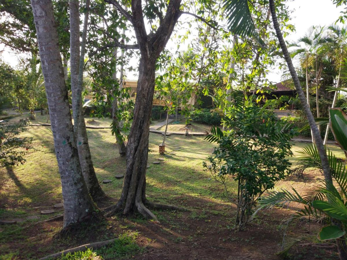 Resort Gajah Mina Selemadeg (Bali)