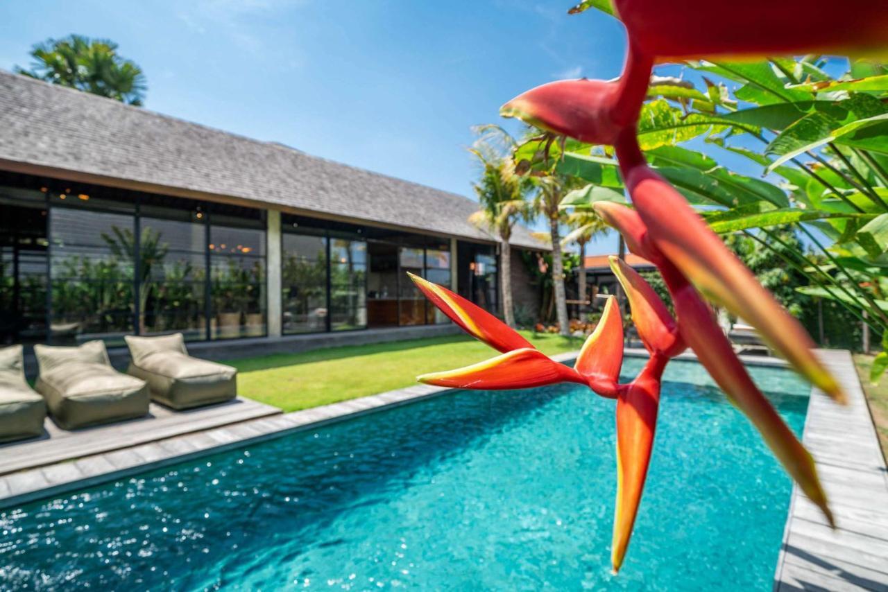 Wirtiga - Elegant 3bdr In The Heart Of Canggu! Villa Canggu (Bali)