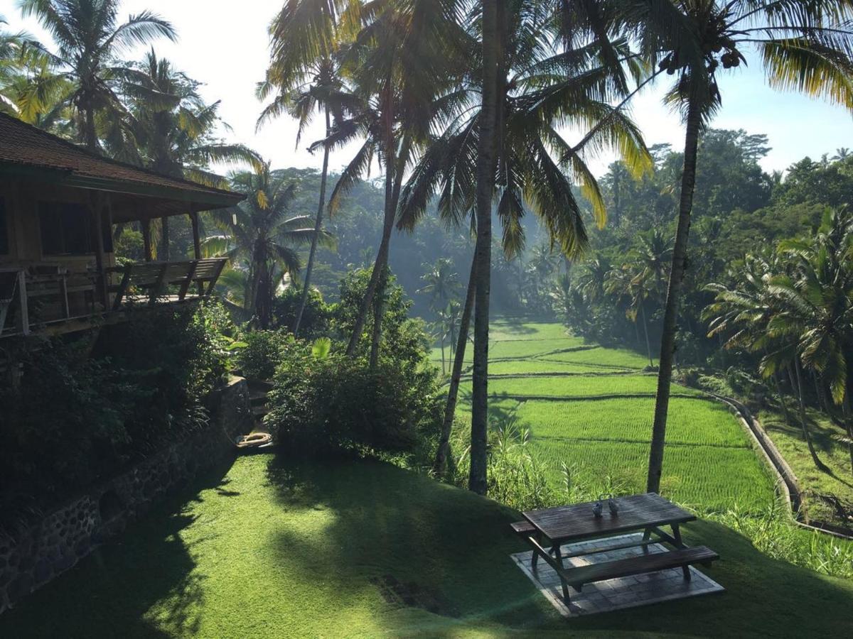The Papas * Tegallalang (Bali)