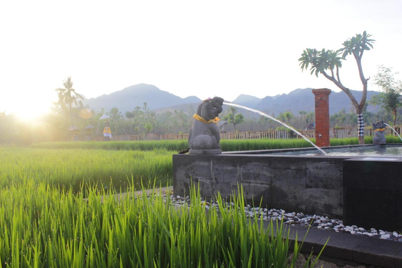 Umma Bali Menjangan Retreat