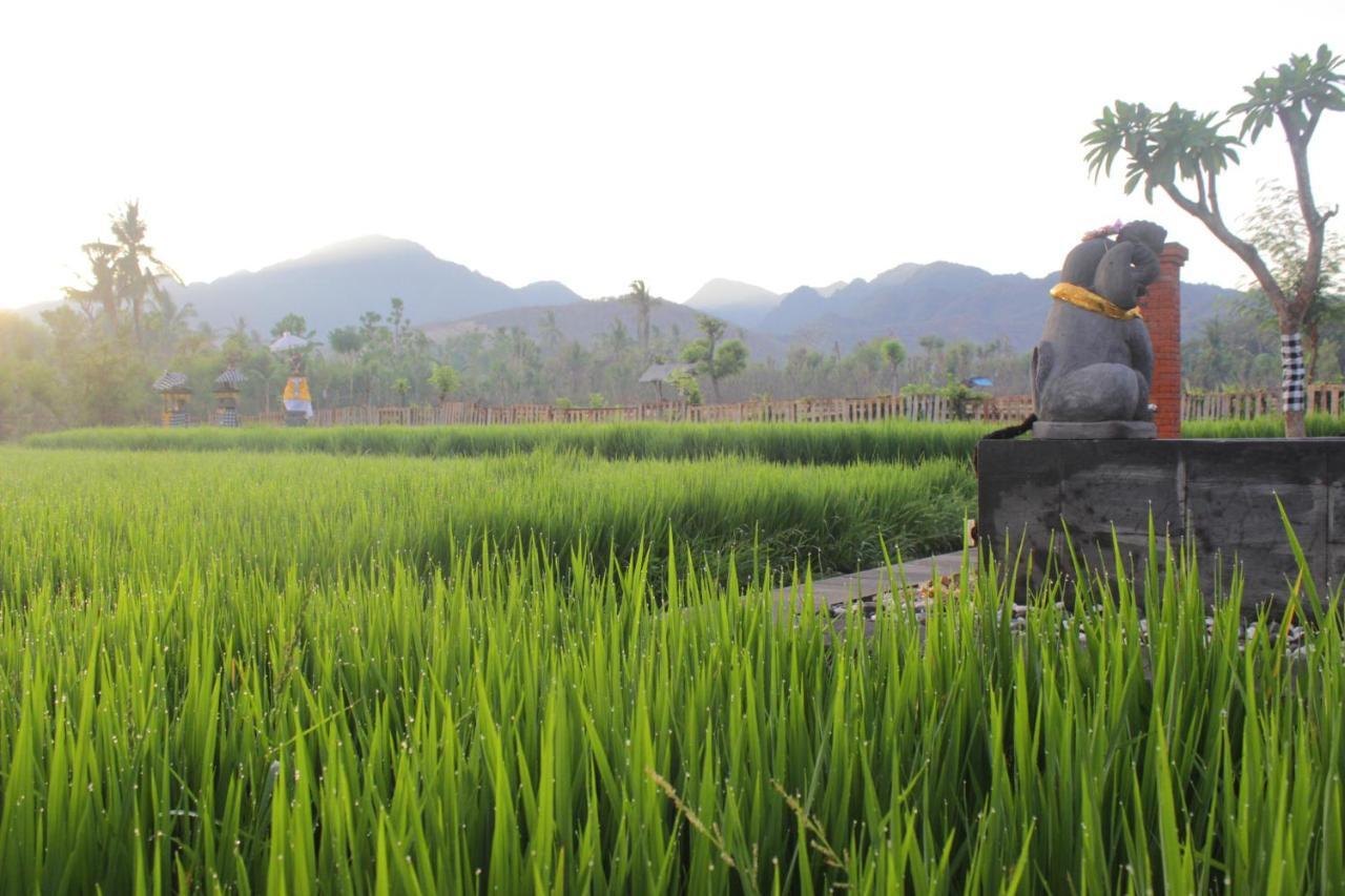 Umma Bali Menjangan Retreat Banyuwedang