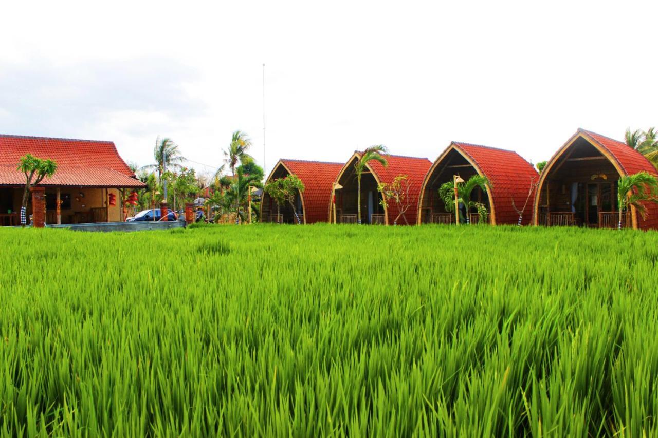 Umma Bali Menjangan Retreat Banyuwedang