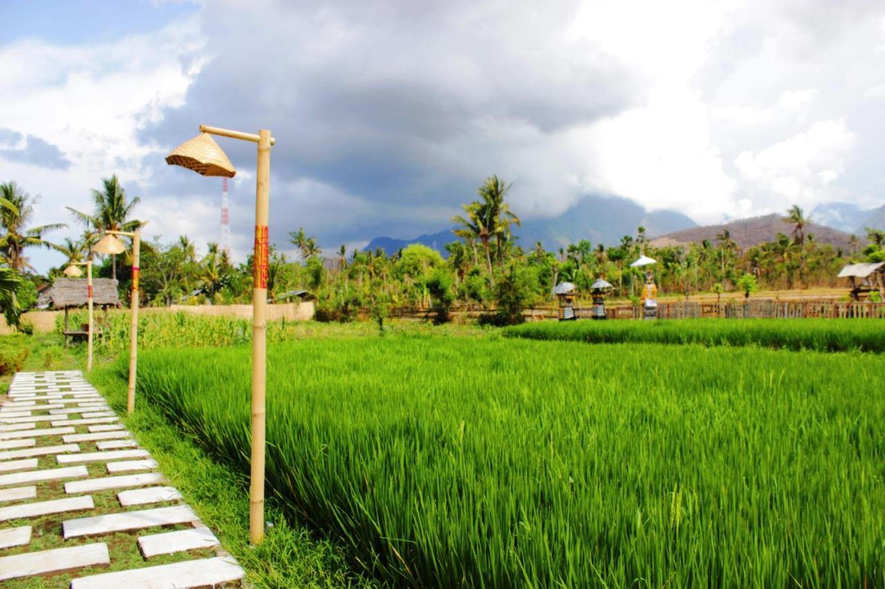 Umma Bali Menjangan Retreat Holiday park