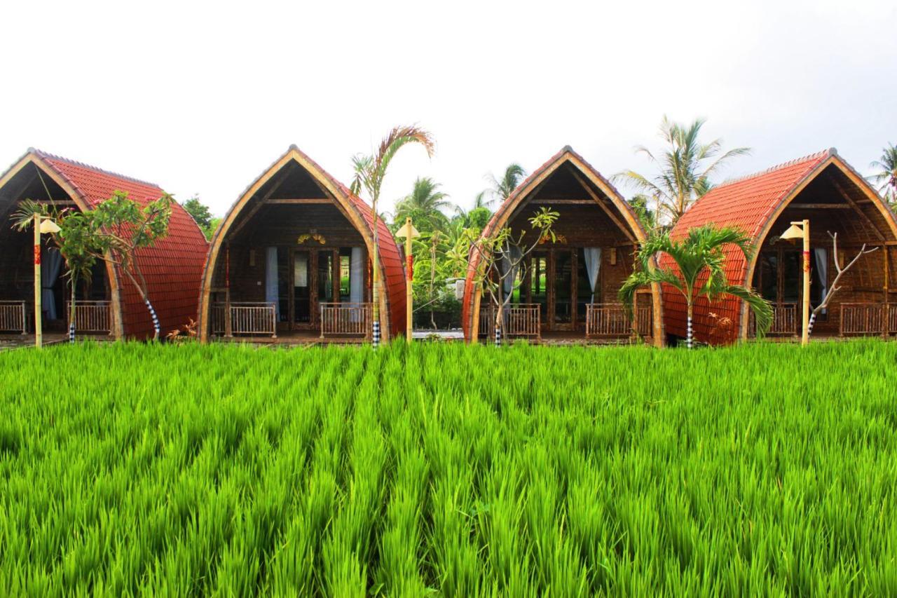 Holiday park Umma Bali Menjangan Retreat 3*