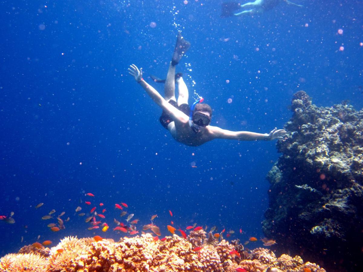 Umma Bali Menjangan Retreat