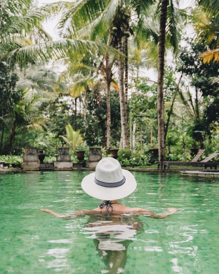 Darmada Eco Holiday park Sidemen (Bali)