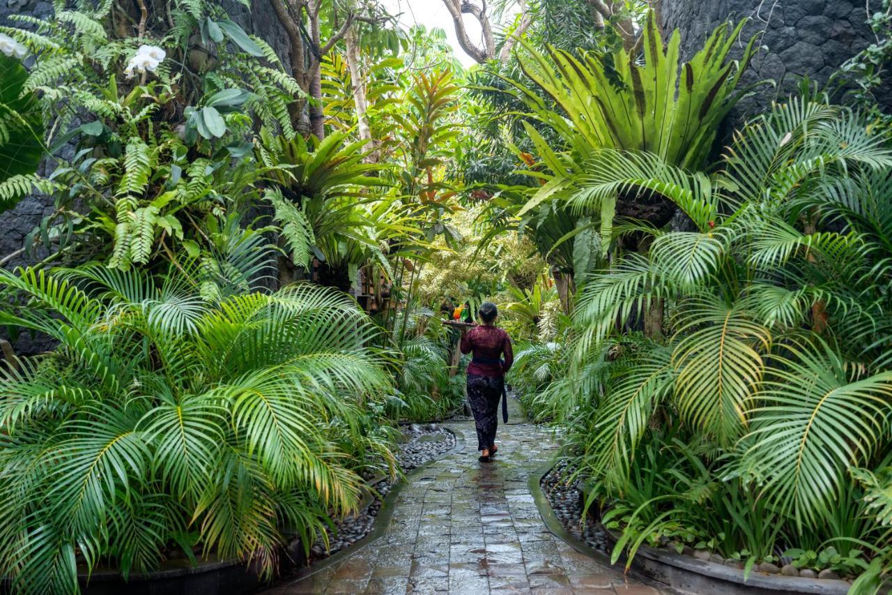 The Bali Dream & Echo Canggu (Bali)