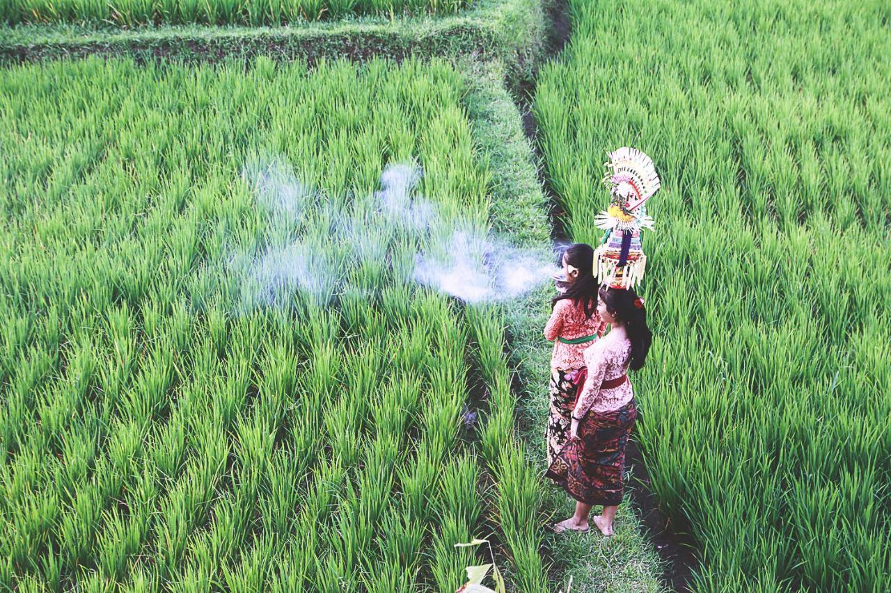 D'legon Luxury * Ubud (Bali)