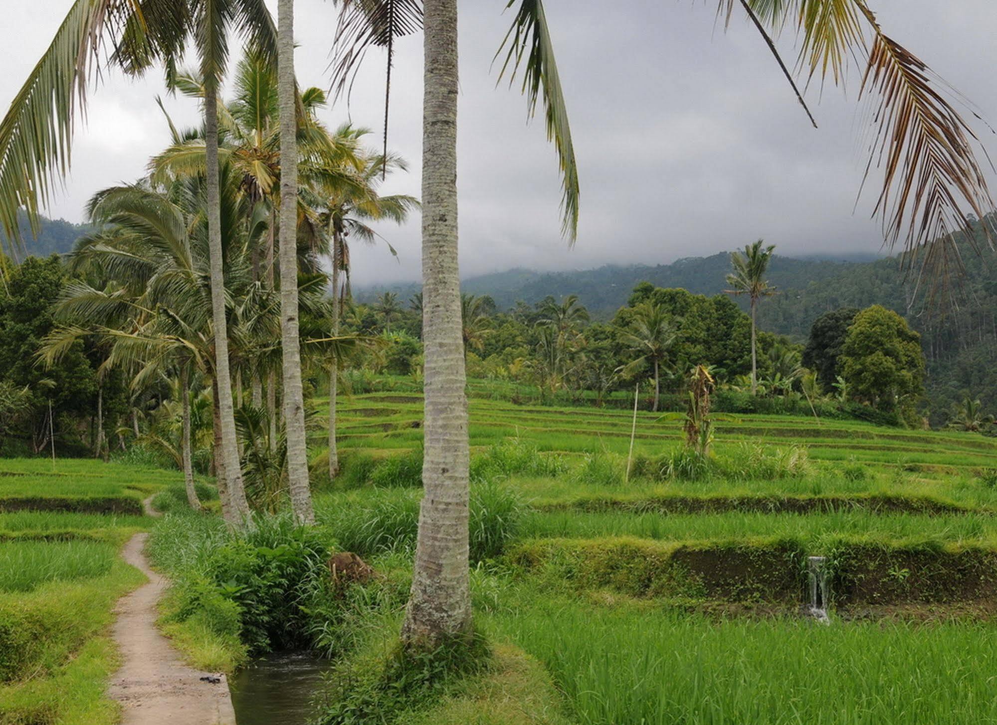 Karang Sari & Restaurant