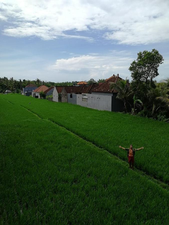 Wisma tamu The Backyard House