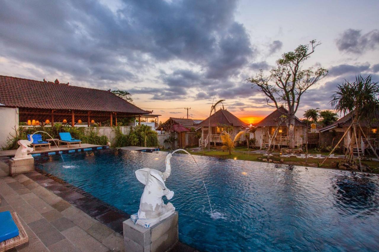 D'coin Holiday park 3*