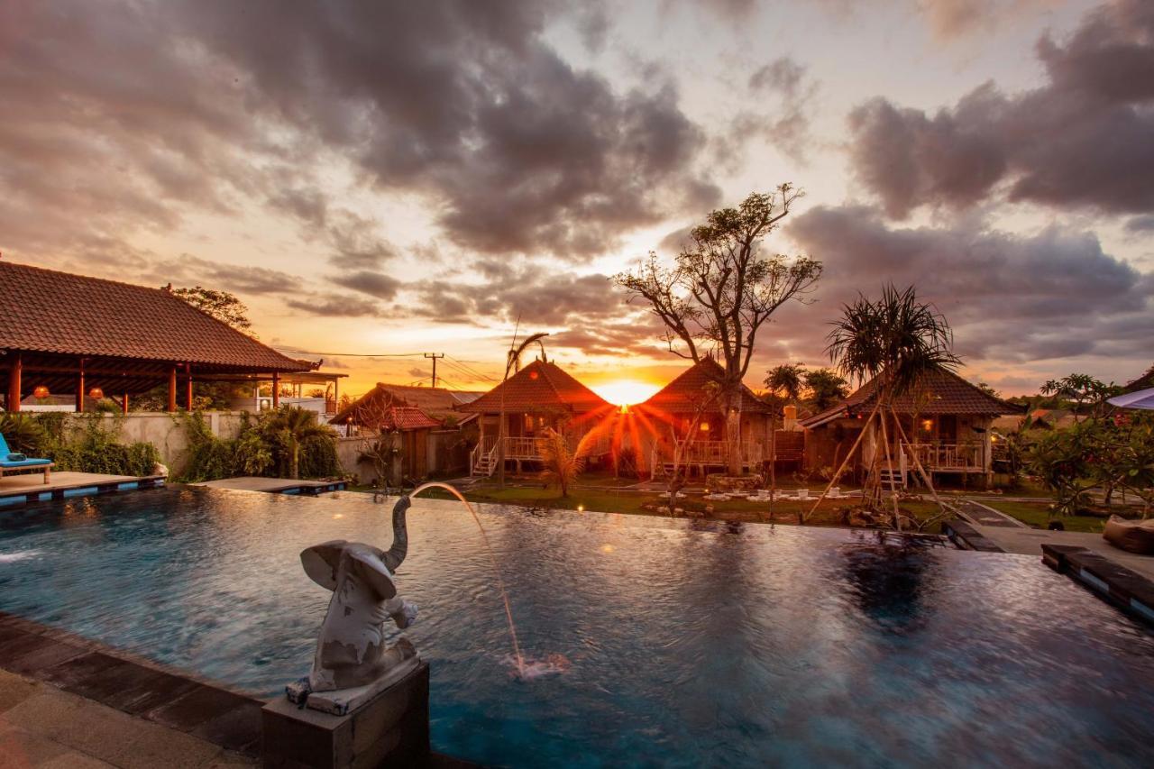 D'coin Holiday park Nusa Lembongan (Bali)