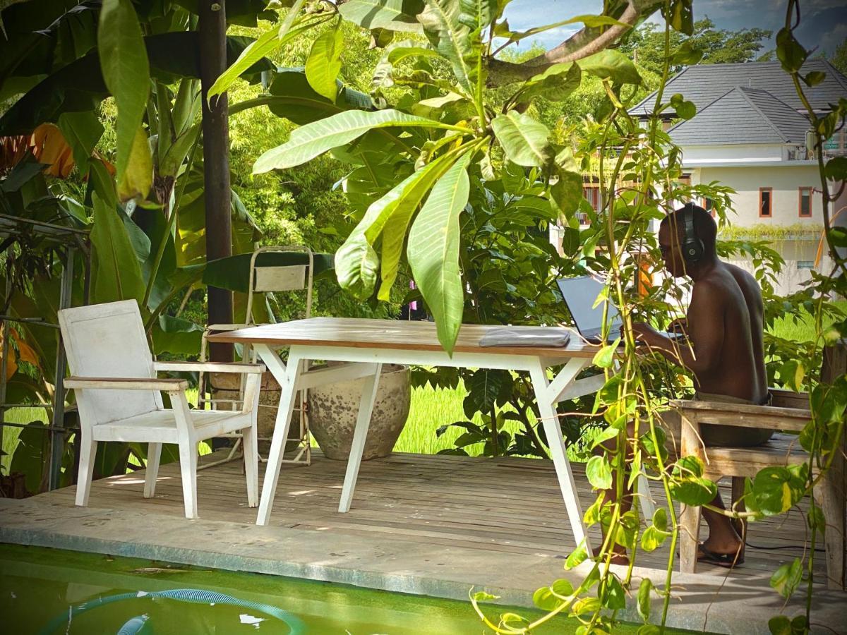 The Hide At (adults Only) Hostel