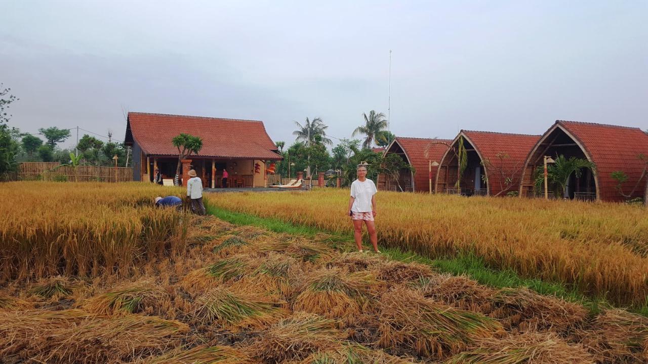 Holiday park Umma Bali Menjangan Retreat 3*