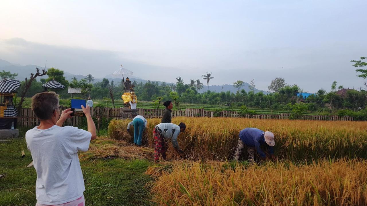 Umma Bali Menjangan Retreat 3*