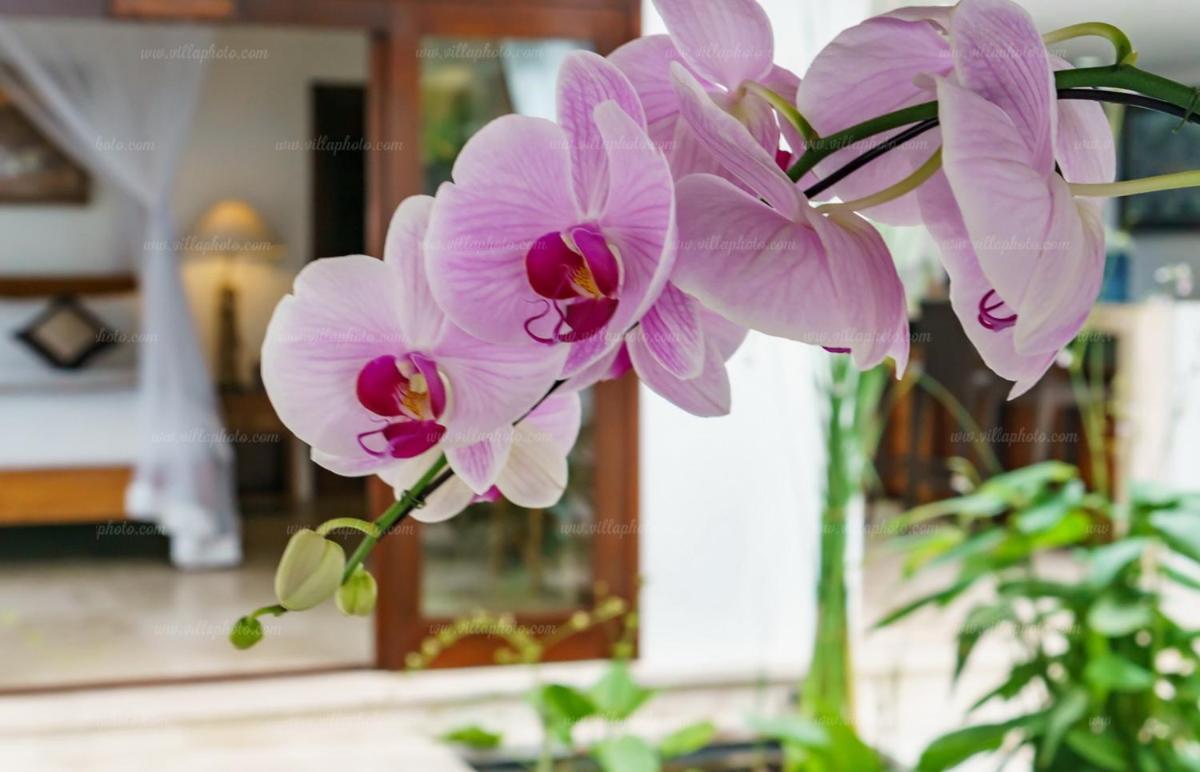 Gita Villa
