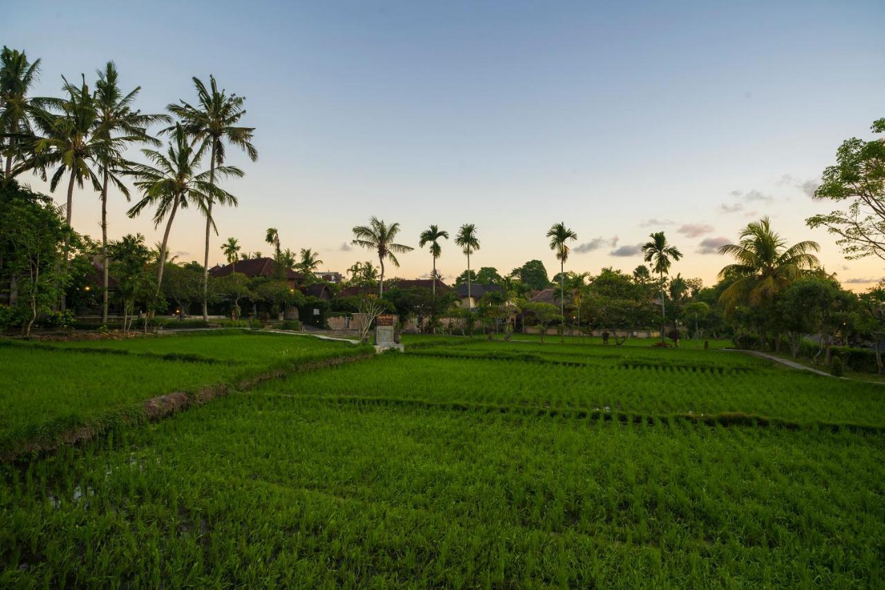 Agung Raka Villa Ubud (Bali)
