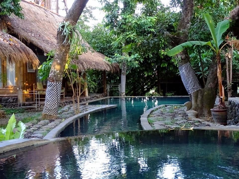 Omunity Bali 2*