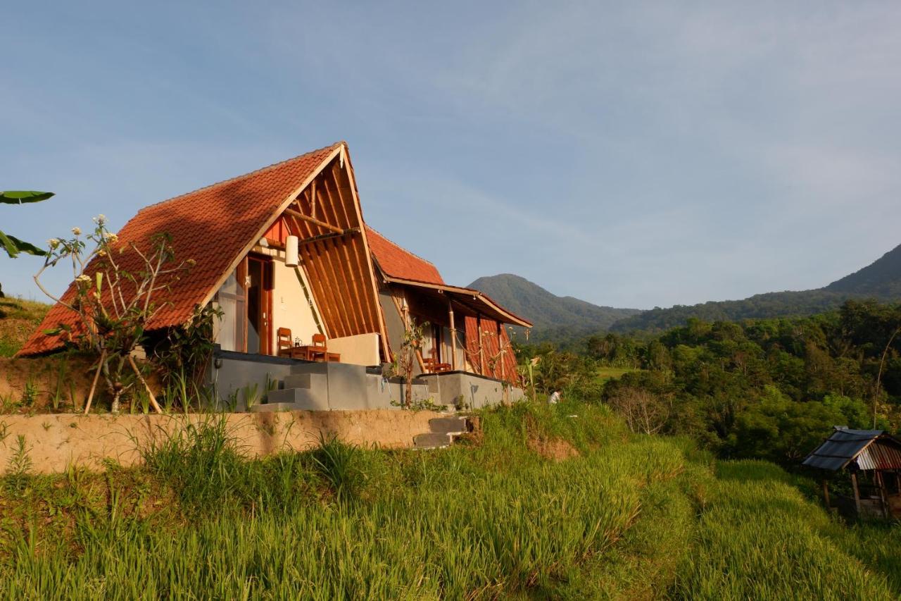 Lodge Padi Bali Jatiluwih