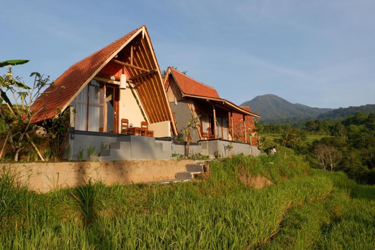 Padi Bali Jatiluwih *