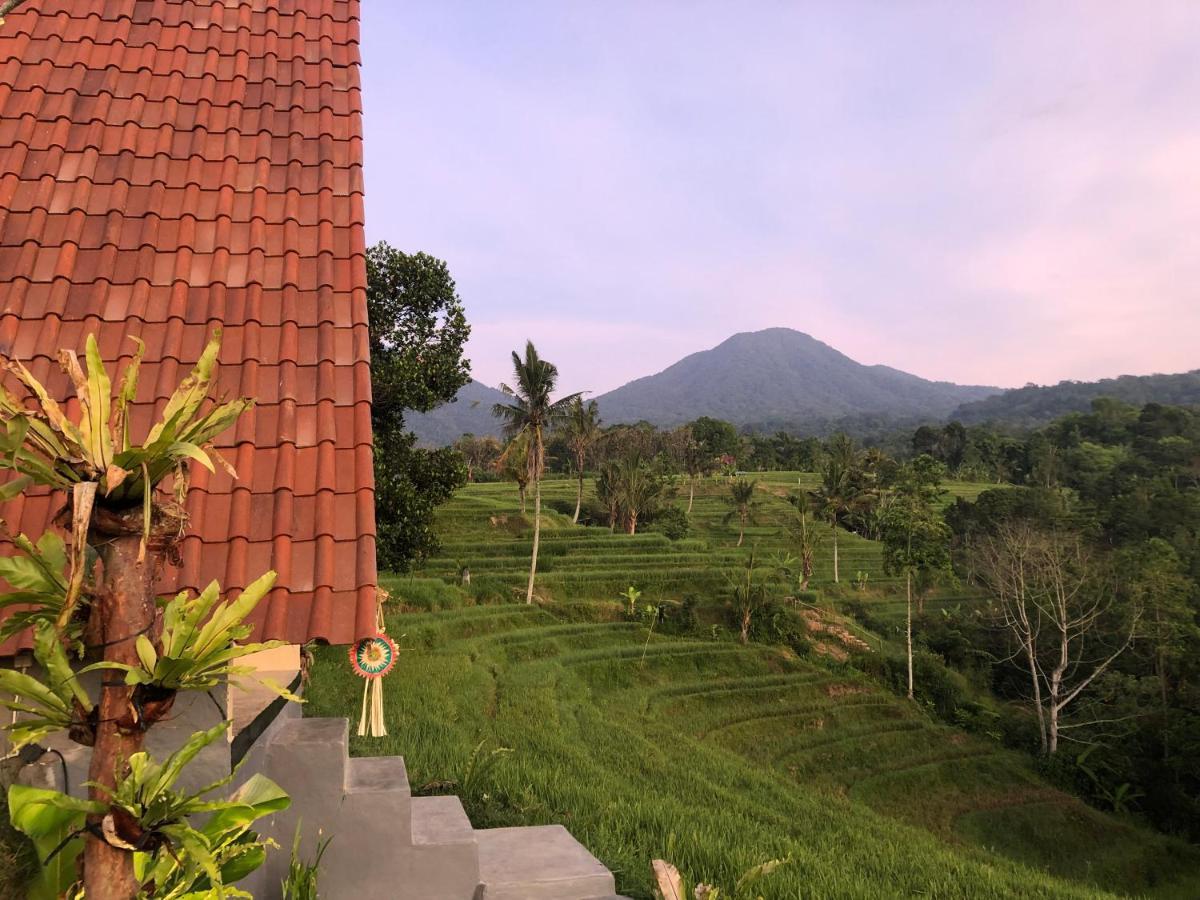 Padi Bali Jatiluwih * Tabanan (Bali)
