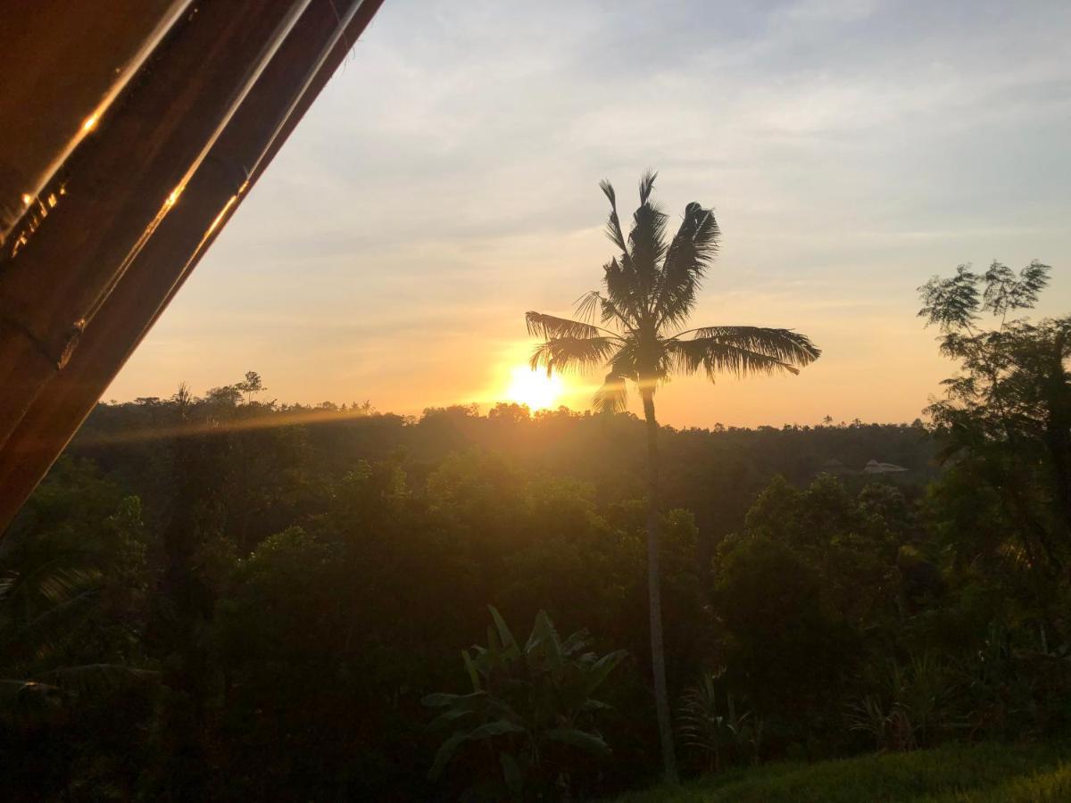 Padi Bali Jatiluwih