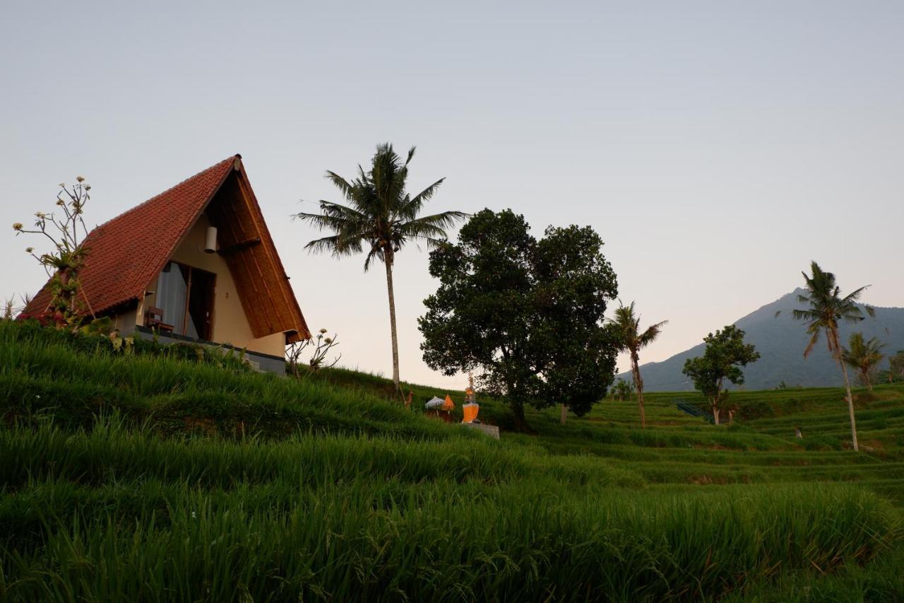 Lodge Padi Bali Jatiluwih