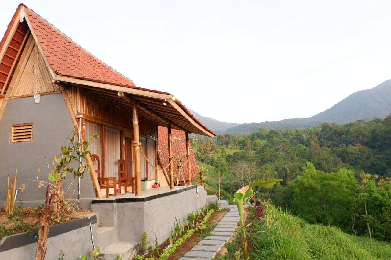 Padi Bali Jatiluwih * Tabanan (Bali)